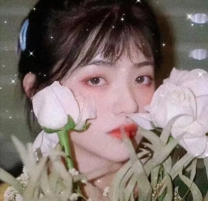 活动写真
